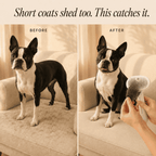 5-in-1 Pet Mist Grooming Brush | Detangles | Desheds & Massages While You Brush